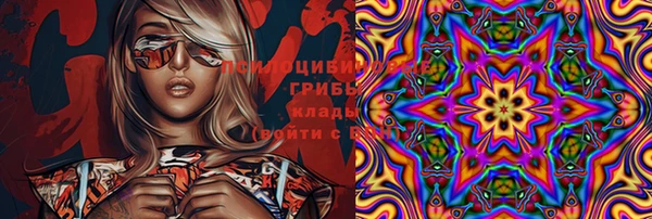 а пвп мука Белокуриха
